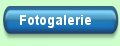 Fotogalerie